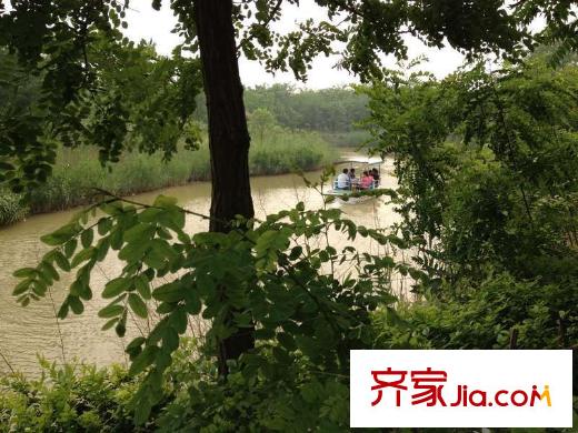 遠(yuǎn)雄蘭苑周邊森林公園