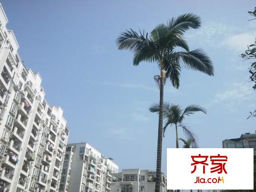 幸福城外景圖 