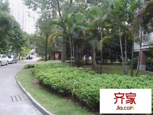 金山碧水二期麒麟苑外景圖 