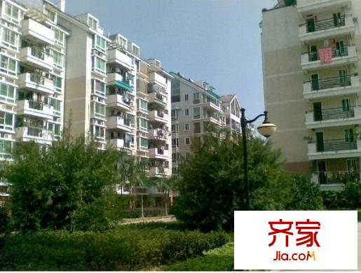 金山碧水二期摘仙苑外景圖 