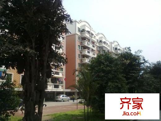 文華小區(qū)外景圖 