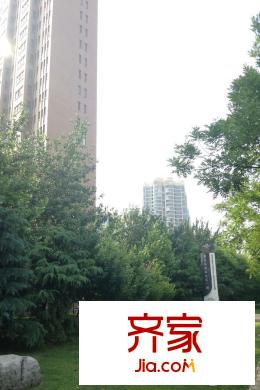 惠靈頓國際社區(qū)小區(qū)實景度（2015-6）