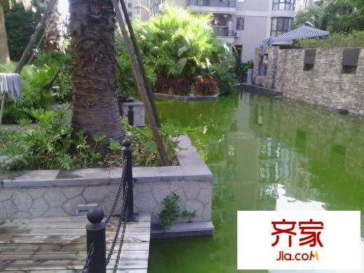 麗景天成外景圖 
