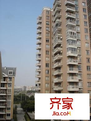 金山桔園二期泰園外景圖 