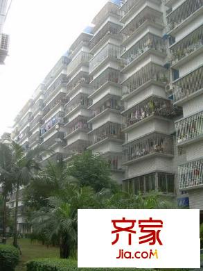 金暉新村外景圖 