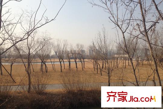 復(fù)地溫莎堡周邊臨近的高爾夫球場(chǎng)