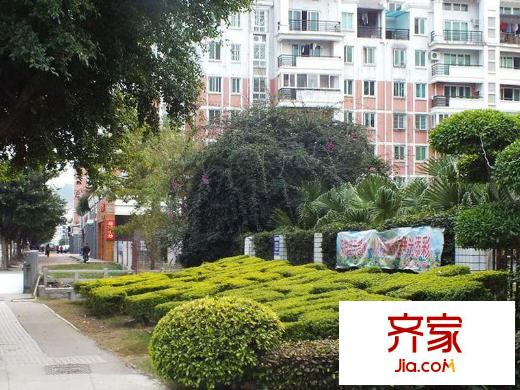 金山碧水三期春曉苑外景圖 