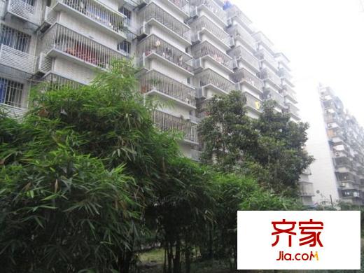 茶會(huì)小區(qū)外景圖 