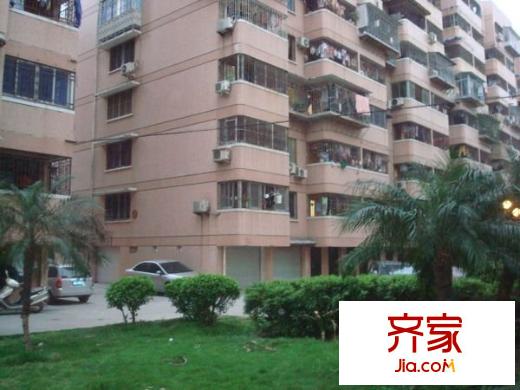 茶會(huì)小區(qū)外景圖 