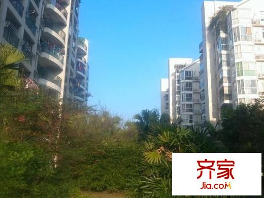 武夷明珠外景圖 