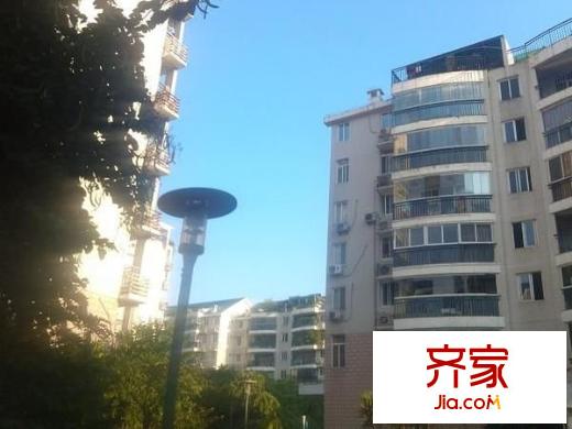 武夷明珠外景圖 