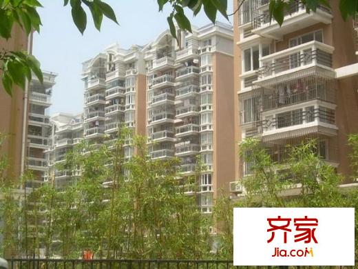 金色維也納外景圖 