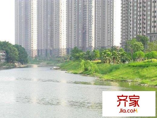 泰禾紅樹林D區(qū)外景圖 
