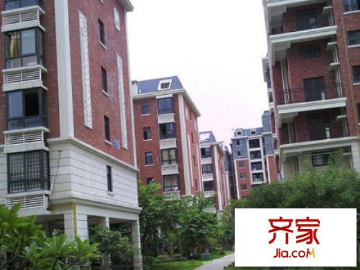 泰禾紅樹林D區(qū)外景圖 