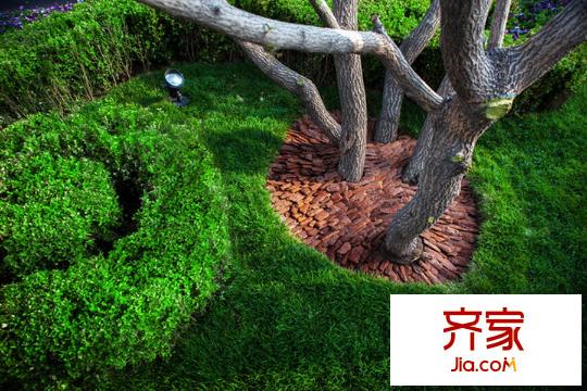 半灣半島小區(qū)綠化(2015-06)