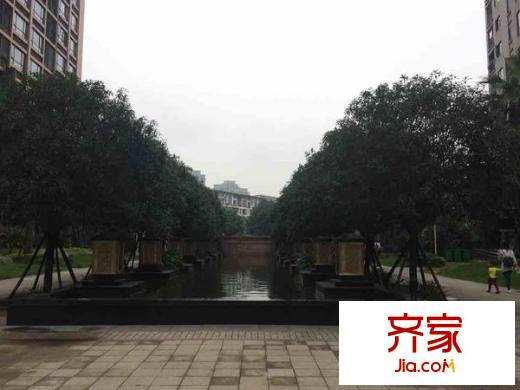 紅星國際晶品