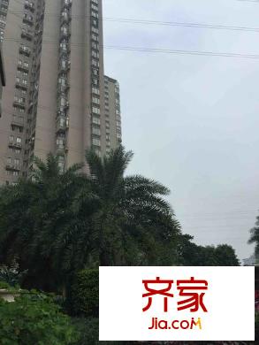 泰禾紅樹林A區(qū)