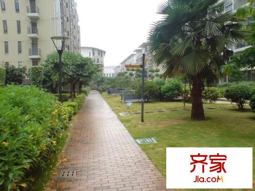 江南水都名筑外景圖 