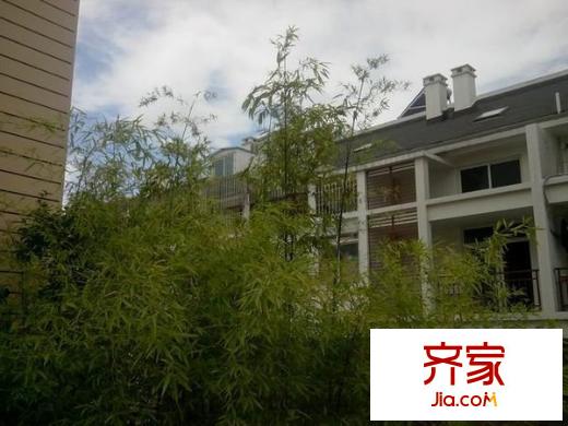 君臨香格里外景圖 