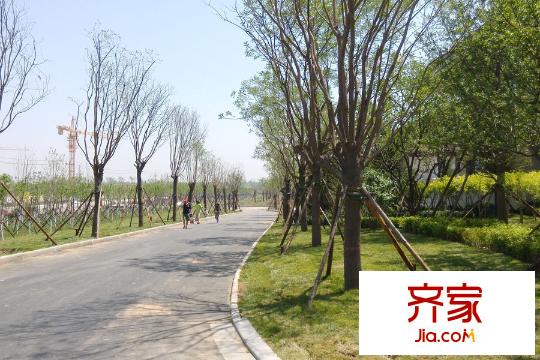 南湖9號獨棟別墅一期小區(qū)(2015-05)