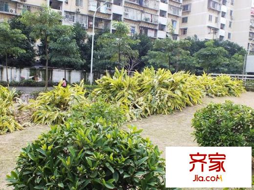 寶龍城市商業(yè)廣場外景圖 
