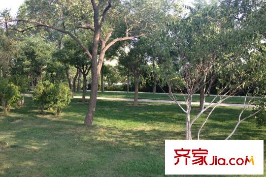 北大資源閱城周邊鄰近的綠道公園