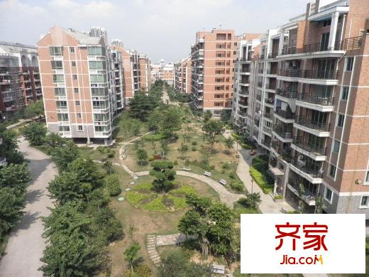 金山桔園一期龍苑外景圖 