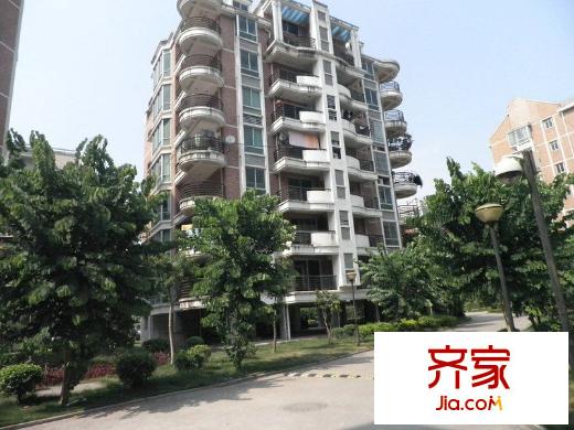 金山桔園一期龍?jiān)?></a>
					<div   id=