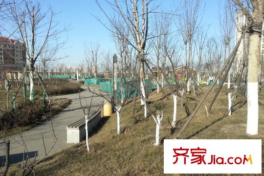 佳寧苑周邊臨近的泰成公園