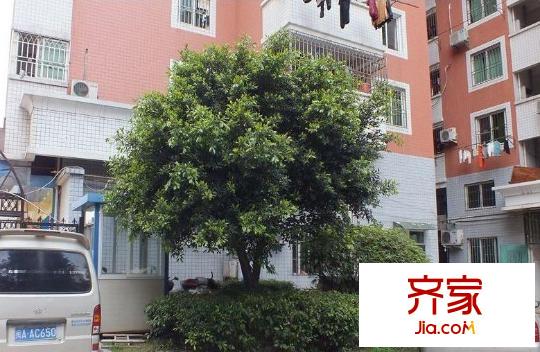 南臺明珠外景圖 