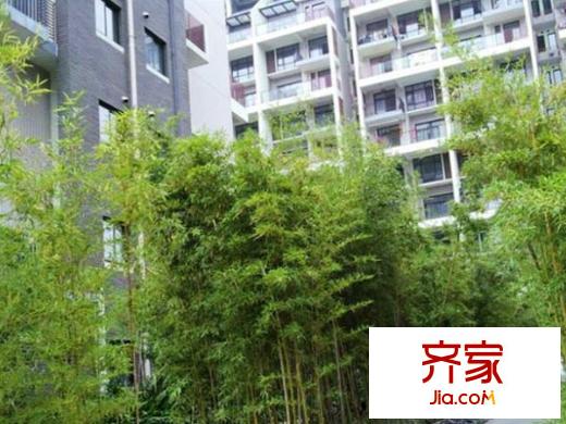 融匯山水三期外景圖 