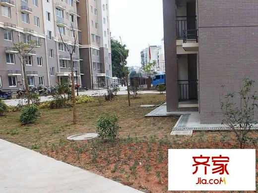 臨江新天地玉島苑外景圖 