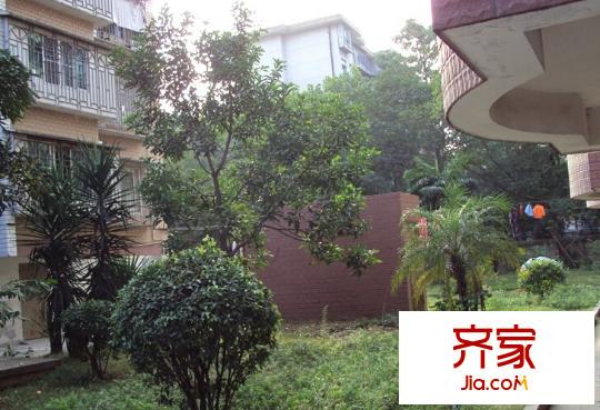 聯(lián)福花園外景圖 