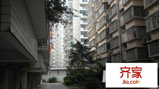 金星新村外景圖3