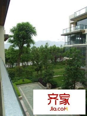 泰禾紅樹林C區(qū)外景圖 