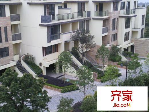 泰禾紅樹林F區(qū)外景圖 