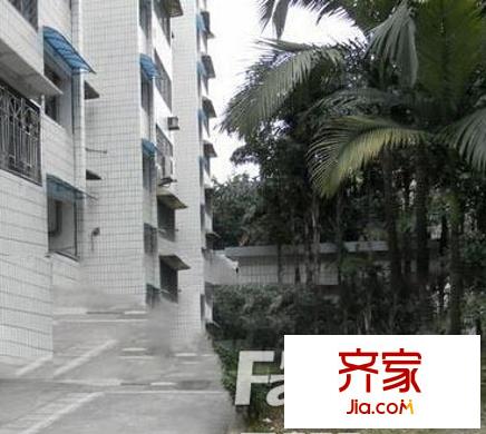福建省國(guó)稅局單位宿舍外景圖 