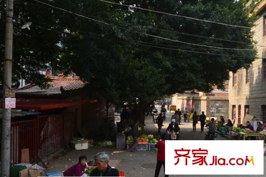 福圓苑配套圖周邊配套 街道