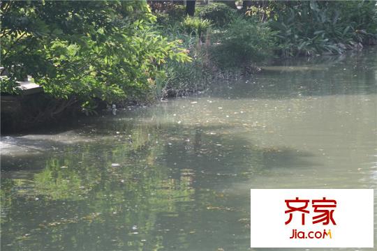 F公館外景圖（2013626）