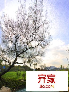 融匯溫泉城售樓處水景（20140410）