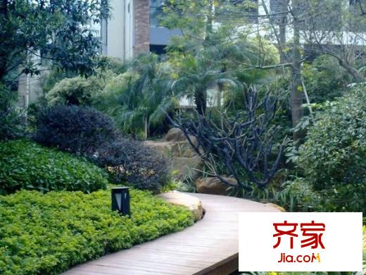 泰禾紅樹林外景圖 