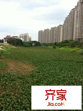 泰禾紅樹林外景圖20130821