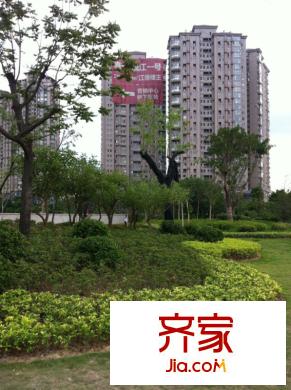 泰禾紅樹林外景圖20130821