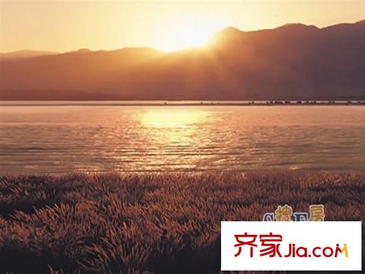 泰禾紅樹林配套圖烏龍江