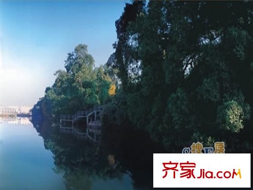 泰禾紅樹林配套圖流花溪