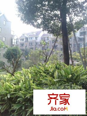 融晟紅郡外景圖 