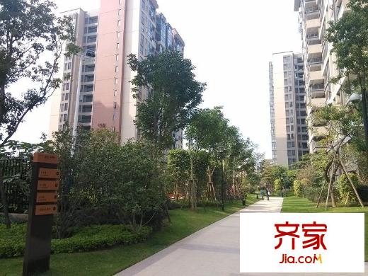 陽(yáng)光城新界外景圖 