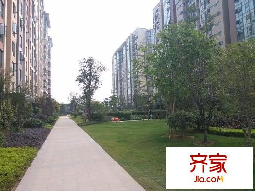 陽光城新界外景圖 