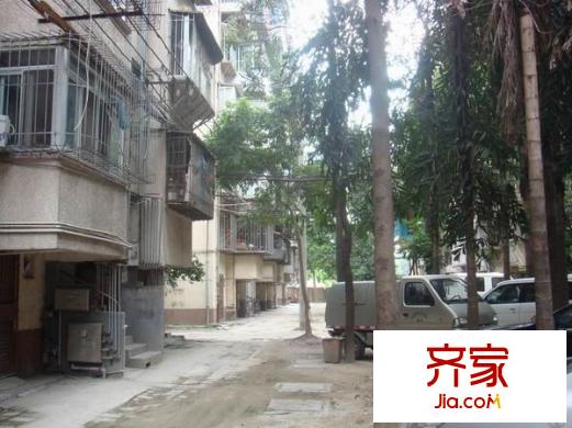 王莊梅園外景圖 