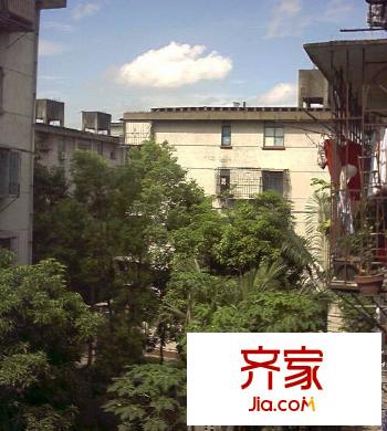 王莊梅園外景圖 